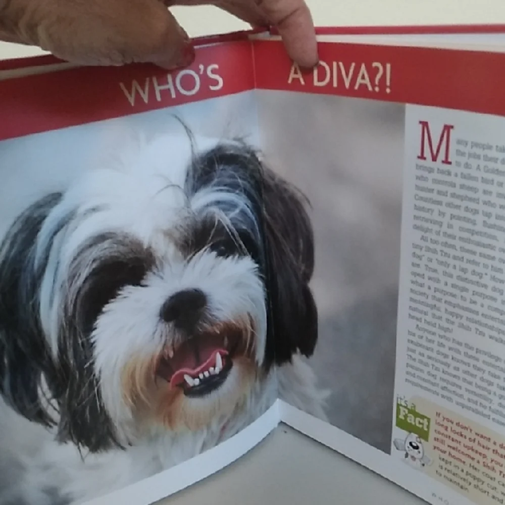 D- NWT Shih Tzu Smart Owner's Guide